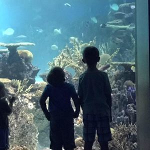 Meet your Posher, Kathleen